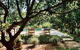 Shan Mango Homestay