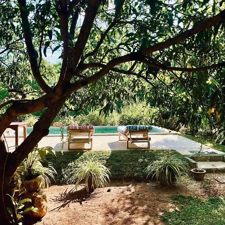 Shan Mango Homestay Sigiriya Esterno foto
