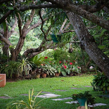 Shan Mango Homestay Sigiriya Esterno foto