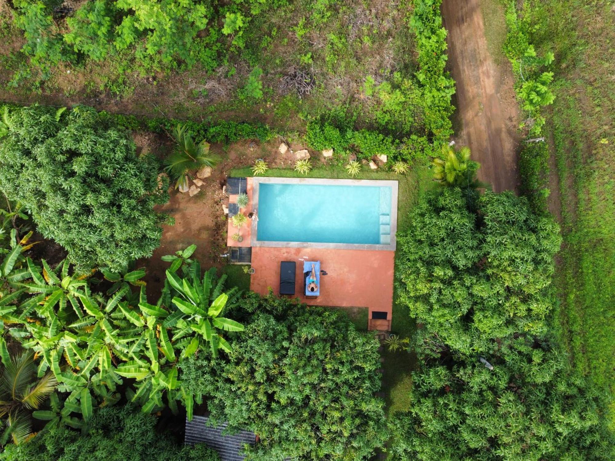 Shan Mango Homestay Sigiriya Esterno foto