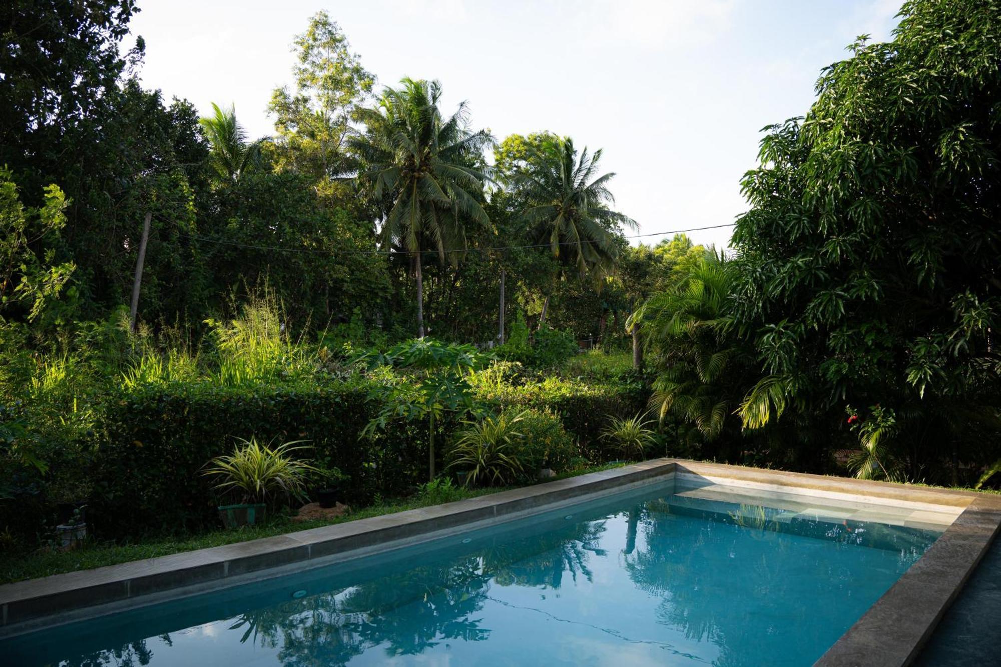 Shan Mango Homestay Sigiriya Esterno foto